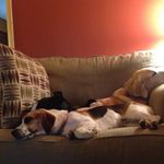 Profile Picture of Samantha Parrett (@ductapelover2001) on Instagram