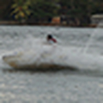 Profile Picture of Mahesh Amarasinghe (@mahesh amarasinghe) on Flickr