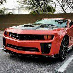 Profile Picture of Alexander Orengo Cruz (@alexoren08) on Instagram