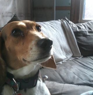 Profile Picture of Jordan Box (@jordan.box.9843) on Facebook