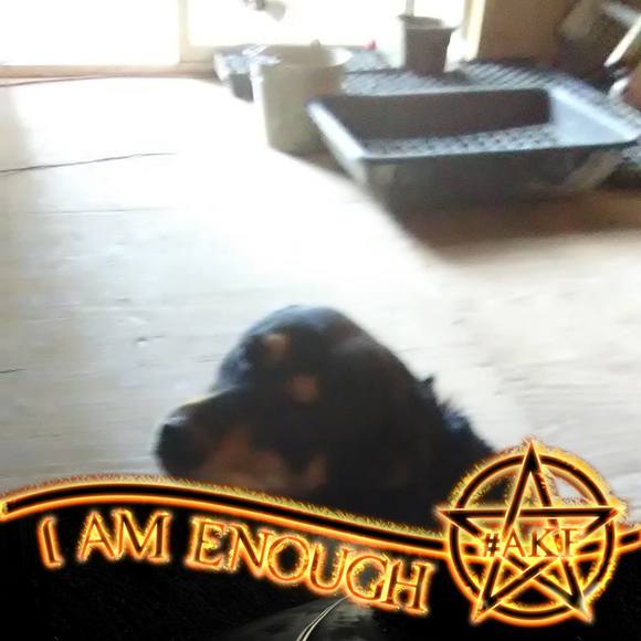 Profile Picture of Larcen Davies (@billyspoon8) on Poshmark