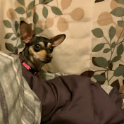 Profile Picture of Bryan Medrano (@bryanmedrano9472) on Youtube