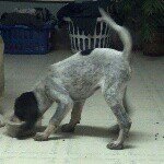 Profile Picture of brad_koon (@brad_koon) on Instagram