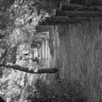 Profile Picture of digamma (@marks6qkkosmo) on Instagram