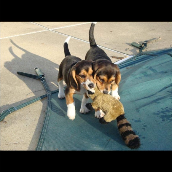 Profile Picture of Ryan Hicks (@ryanhicks21220) on Poshmark