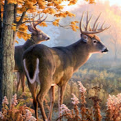 Profile Picture of Joseph Huffman (@josephhuffman3713) on Youtube