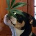 Profile Picture of Wayne Burrows (@wayne.burrows.1420) on Facebook