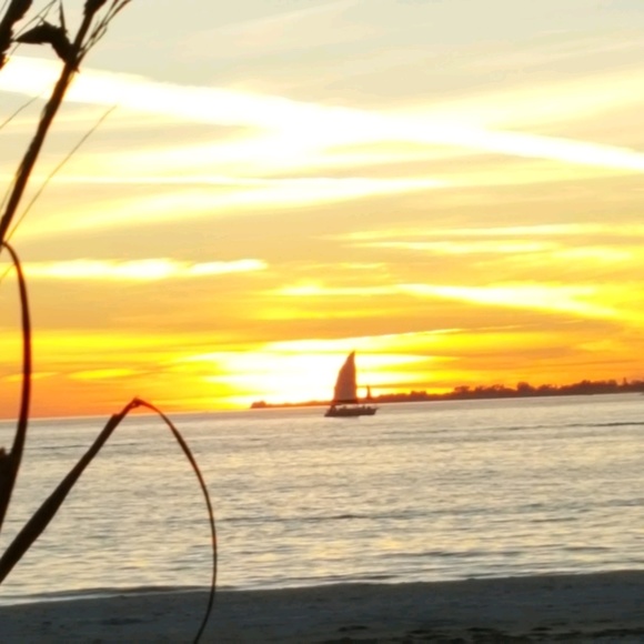 Profile Picture of Monica Army (@monicaarmy) on Poshmark