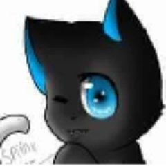 Profile Picture of Alex Schaeffer (@@InsaneGamer1337) on Twitter