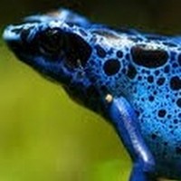 Julian Day - Quora Profile Picture of Julian Day (@julian-day-15) on Quora