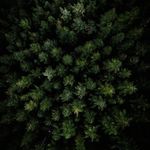 Profile Picture of adnan (@addy_power_) on Instagram