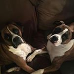 Profile Picture of Jason DesLauriers (@jasondes81) on Instagram