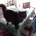Profile Picture of Gail Labbadia (@gail.labbadia.79) on Facebook