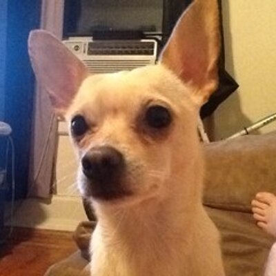 Profile Picture of Thomas John Rooney (@johnrooney42580) on Twitter