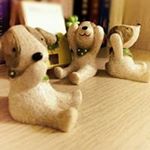 Profile Picture of Janice Chow (@janice_chowchow) on Instagram