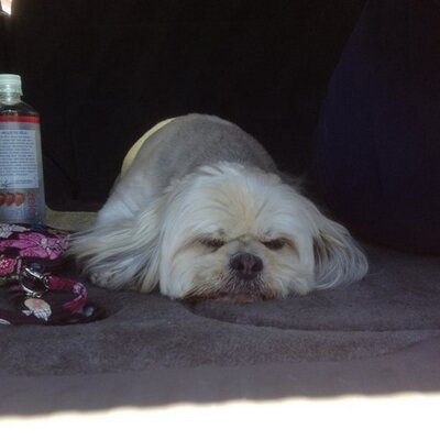 Profile Picture of Robert Wortman (@Robere43) on Twitter