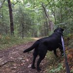 Profile Picture of Eva & Finn (@adventures_of_finn_and_eva) on Instagram