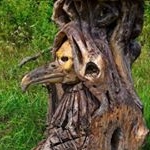 Profile Picture of Ballou (@balloucarlstr) on Instagram