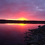 Profile Picture of Rita Breen Chafe (@rita breen) on Flickr