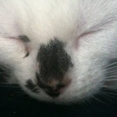 Profile Picture of Marion Mccabe (@marionmccabe) on Twitter