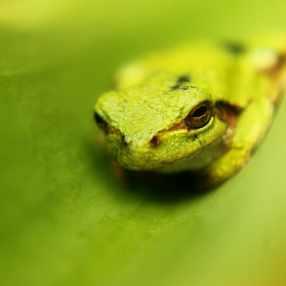 Karl Coradio - Poshmark Profile Picture of Karl Coradio (@kcoradio) on Poshmark