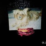 Profile Picture of Jeff N Jan Agnew (@jeffnjanagnew) on Instagram