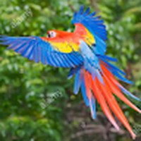 Profile Picture of Huda Binte Asad (@huda-binte-asad) on Quora