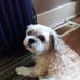 Profile Picture of Kim Benoit (@kim.benoit.980) on Facebook