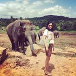 Profile Picture of Shuchi Jain (@jain_shuchi) on Instagram