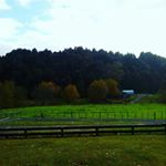 Profile Picture of Adam Ormond (@adam_bob_ormond) on Instagram