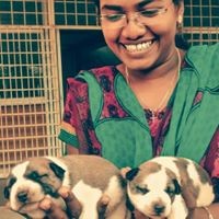 Profile Picture of Gladys Stephen (@gladys-stephen) on Quora