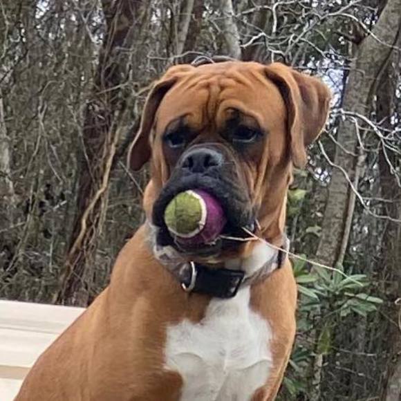 Profile Picture of Christy Filger (@herstie80) on Poshmark