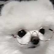 Profile Picture of Kate Lin (@royaltylin3178) on Youtube