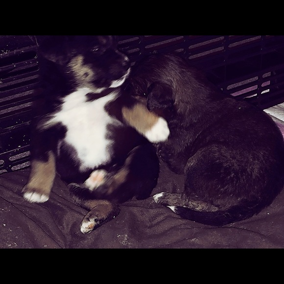 Profile Picture of Christine Clapton (@cclapton) on Poshmark