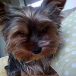 Profile Picture of Almerge Lou (@almergelou) on Instagram