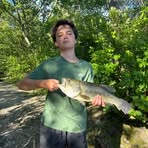 Profile Picture of Benjamin Cary (@Benjamin-Cary) on Facebook