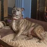 Profile Picture of Carol Hamann Douglass (@carol.h.douglass) on Instagram