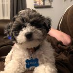 Profile Picture of Bailey Hornsby (@hornsby.bailey) on Instagram