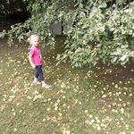 Profile Picture of Michelle Baer (@michelle_baer94) on Instagram