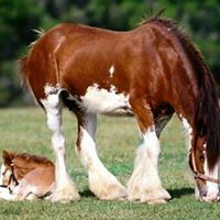 Profile Picture of Susan Stringer (@susanstringer56) on Pinterest
