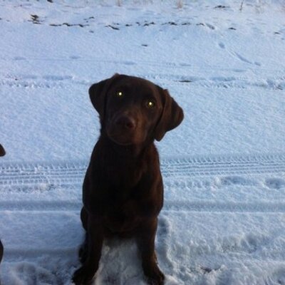 Profile Picture of Neil Macleod (@neilmacleod73) on Twitter