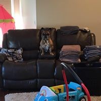 Profile Picture of Brooke Weidman-janczewski (@brooke-weidman-janczewski) on Quora