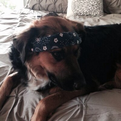 Profile Picture of Cody Frick (@cdfrick) on Twitter