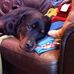 Profile Picture of Jackson Abrams (@jackson.abrams.737) on Facebook