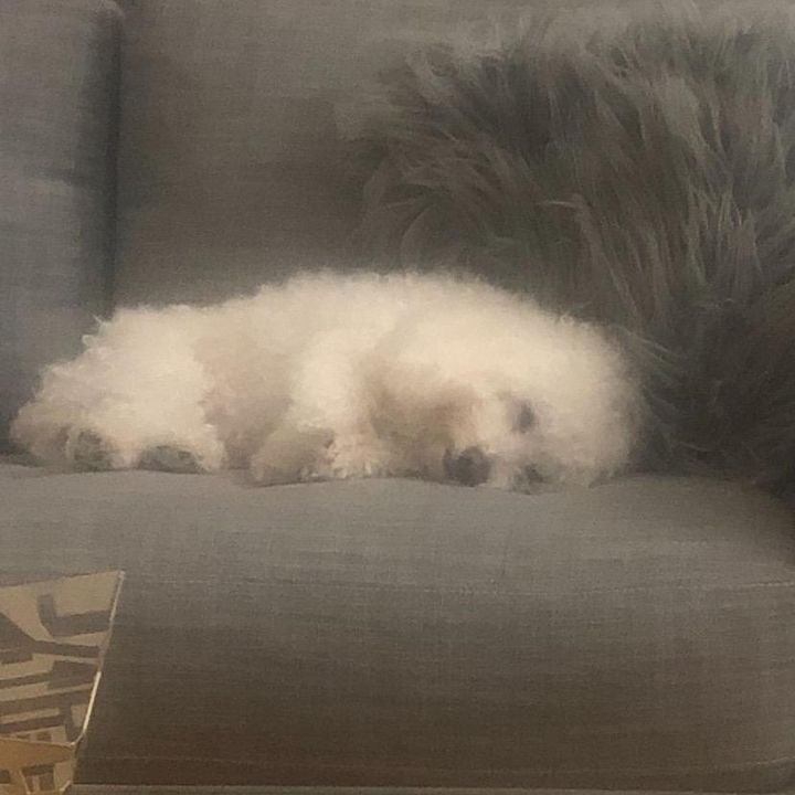 Profile Picture of andrewpuerta (@memeyboyo) on Tiktok