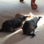 Profile Picture of Daniel Ackley (@ackley.daniel) on Instagram