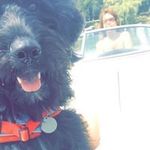 Profile Picture of Bernadette Mullins Miller (@bernadettemullinsmiller) on Instagram