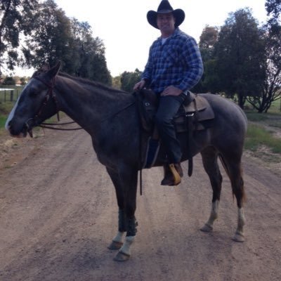 Profile Picture of Shannon Noll (@ShannonNoll00) on Twitter