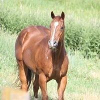 Profile Picture of Robin Hansell (@robin-hansell-1) on Quora