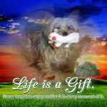 Profile Picture of Andreya Moore (@diva_brandy) on Instagram